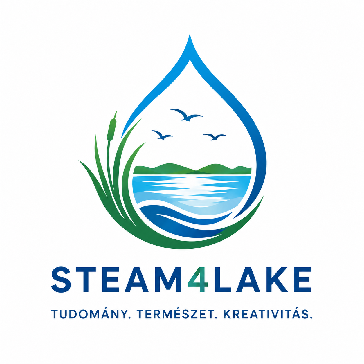 STEAM4Lake